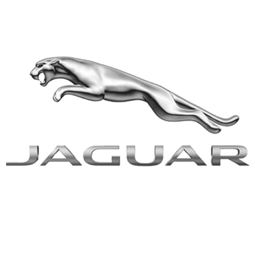 Jaguar image
